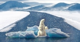 Klimawandel Nordpol