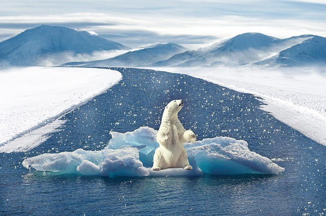 Klimawandel Nordpol