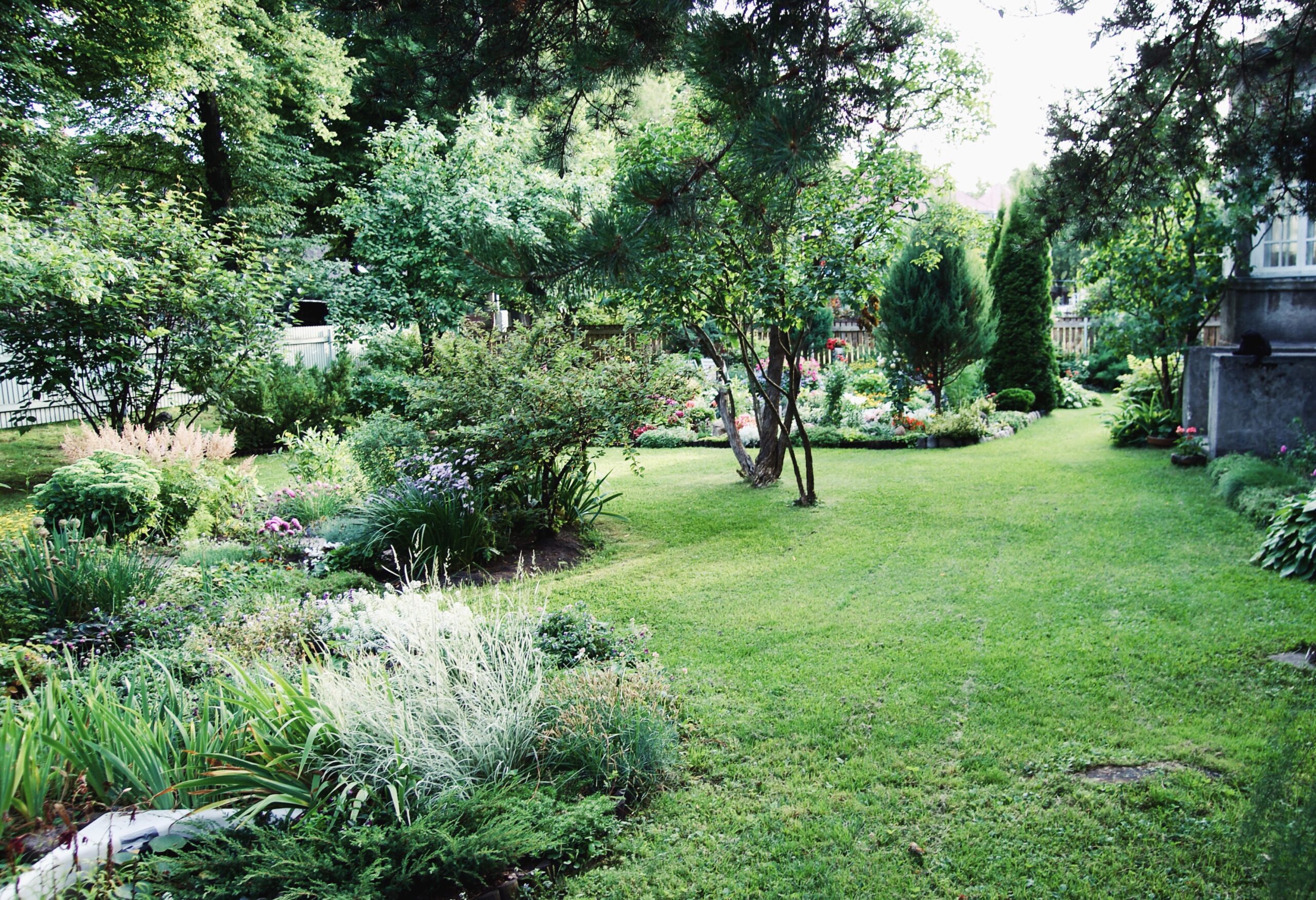 Nachhaltig und ein Genuss fürs Auge – ein grüner Garten. Foto: twenty20photos