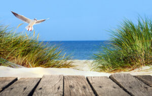 Nachhaltiger Urlaub ist in Deutschland – hier die Ostsee – kein Problem. Foto ©Visions-AD stock adobe